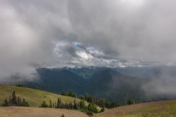 In the clouds at Hurricane Ridge Olympic National Park 