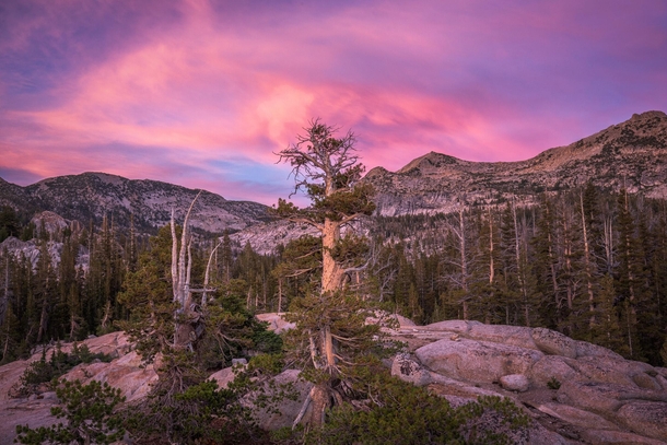 In the Yosemite backcountry Lucked out with this beautiful sunset 