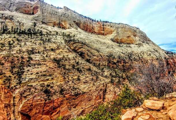 Incredible colors of the cliffs in Zion National Park Hurrican Utah 