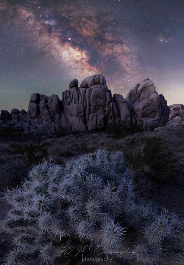 Indian cove campground in Joshua Tree CA 