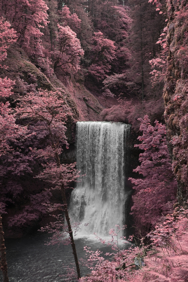Infrared photo of Silver Falls Oregon  OC