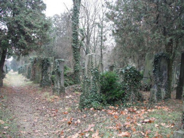 Inspired by another post -- abandoned graves in the Jewish section of the Zentralfriedhof  