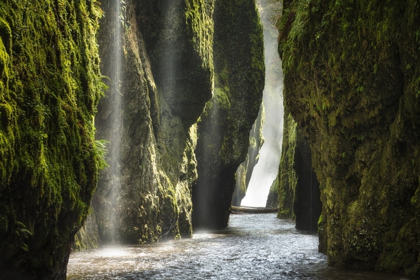 Into the Mystic - Oregons Columbia Gorge  photo by Majeed Badizadegan