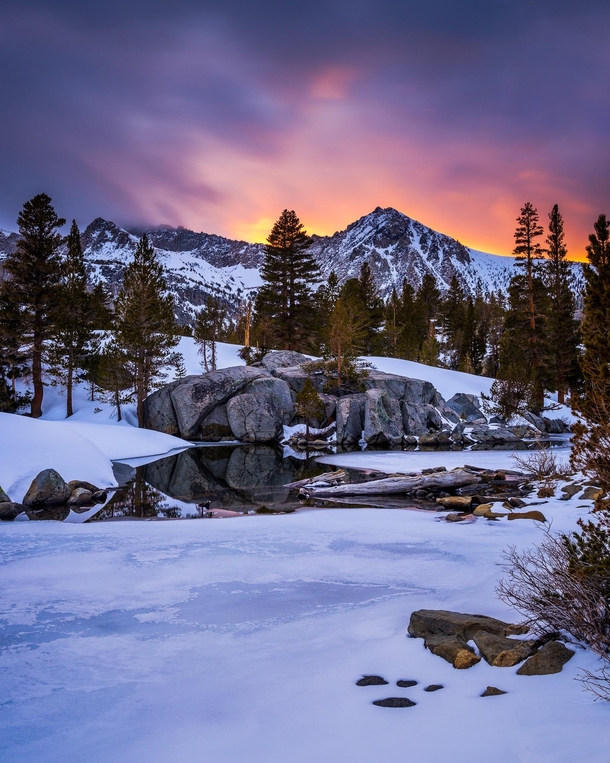 Inyo National Forest 