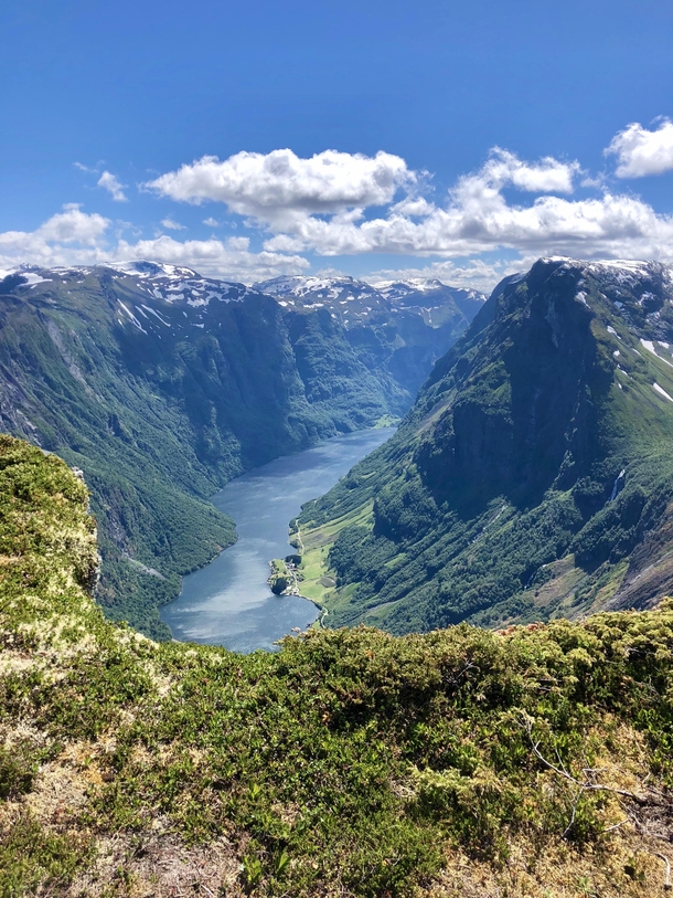 It was worth the hike to have this view down on the Norwegian fjords last year    
