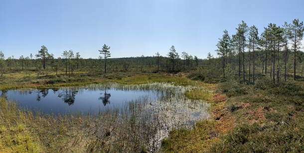 Its a swamp Karkkila Finland 