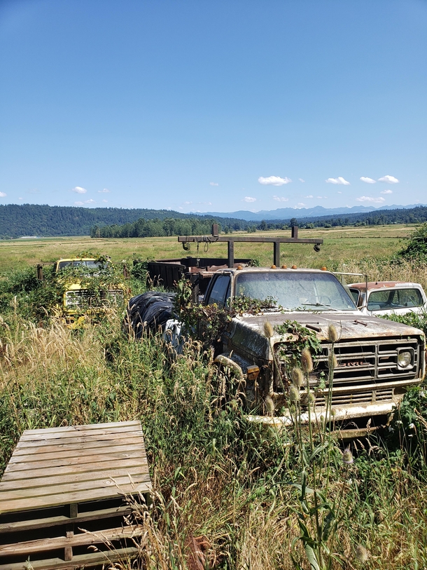 Its always pretty cool to see these old trucks left on these farms for ages