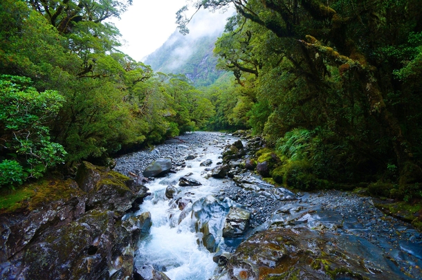 Its not as grandiose as most here but this is one of my favorite pictures I took in NZ on the way to Milford Sound 