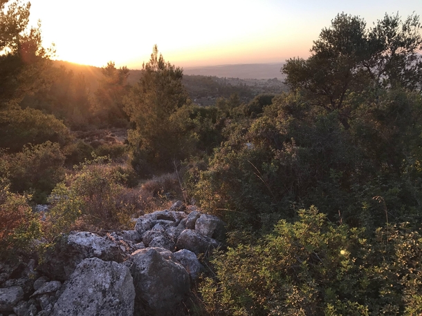 Ive been fasting for a month which kept me from climbing one of my favorite spots I appreciate it much more now- Judean Hills in Israel Palestine 