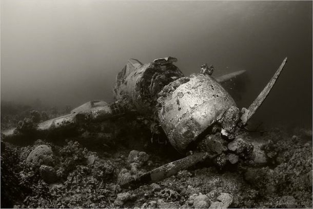Jake Sea-Plane long forgotten in Palau - photo credit Norbert Probst