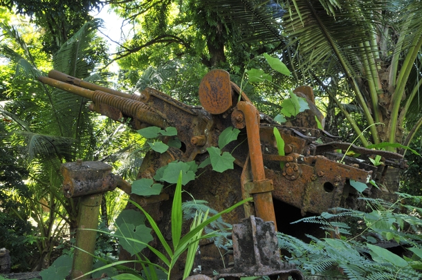Japanese small artillery left over from World War II on Palau island Micronesia