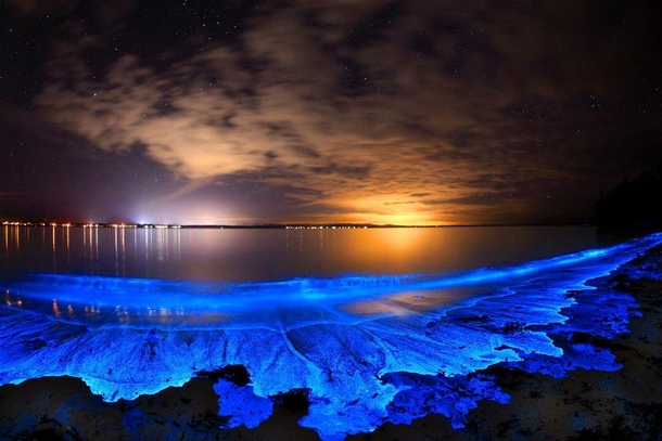 Jervis Bay illuminated by fascinating bioluminesce Australia 