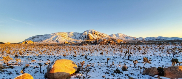 Joshua Tree National Park on New Years Eve after few inches of snow 