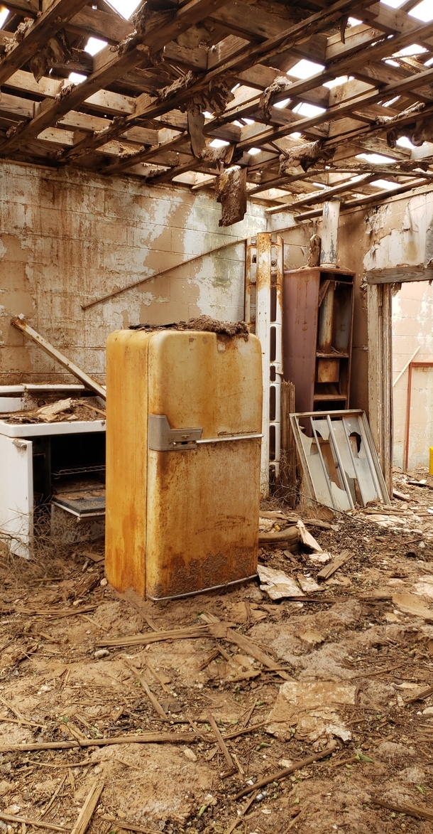 Just an old fridge in a long forgotten house