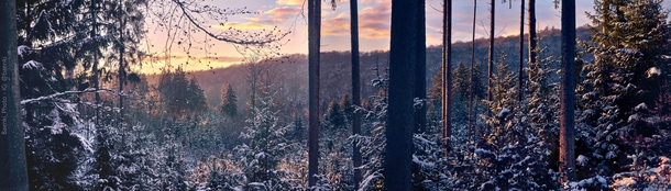 Just caught the perfect moment for a panorama shot in the forest Rhn Germany  IG baenki
