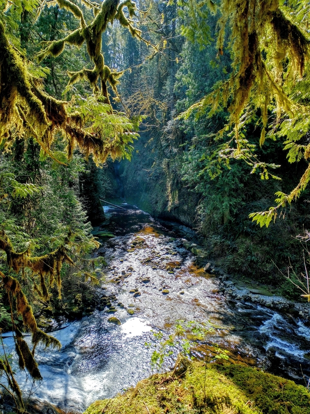 Kanaka Creek British Columbia 