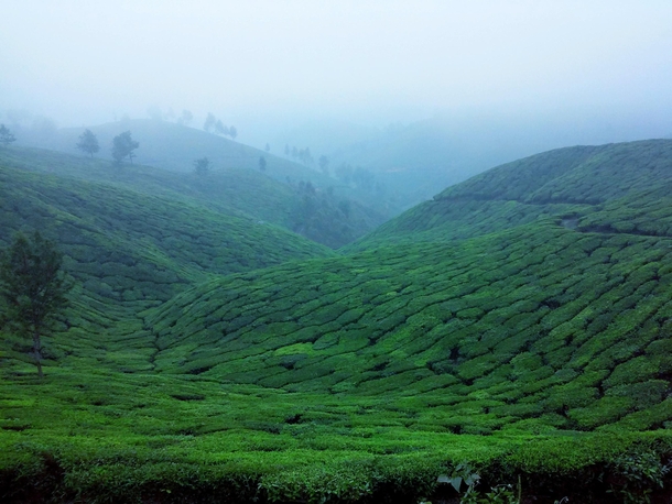 Kannan devan hills Kerala OC x