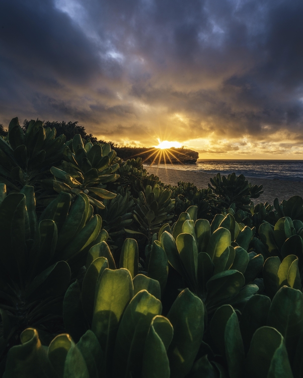 Kauai sunrise 