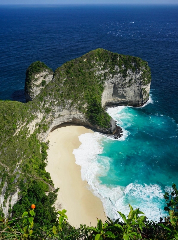 Kelingking Beach on Nusa Penida in Indonesia There were far too many stairs for me to walk down to the beach itself but it was still one of the coolest ones Ive ever visited 