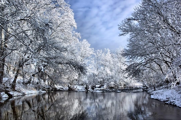 Kentucky Winter Wonderland - 