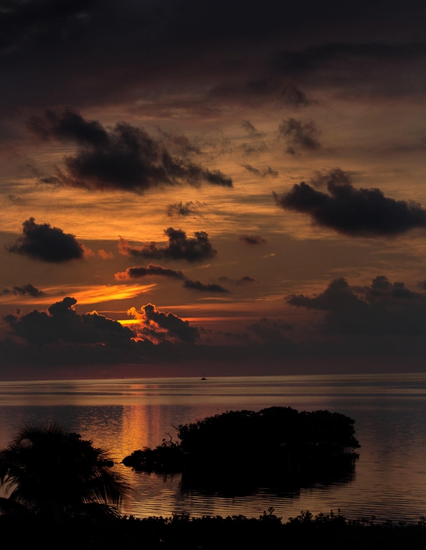 Key Largo sunrise  x  OC
