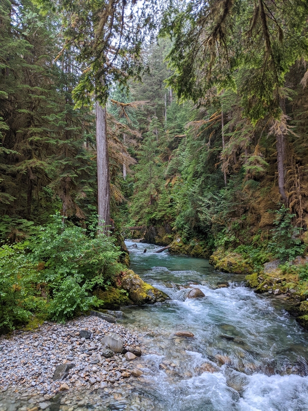 Kindy Creek near North Cascades National Park Washington US 