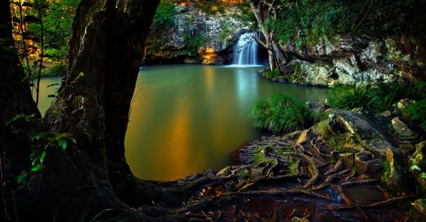 Kondalilla Falls Maleny Queensland Australia 