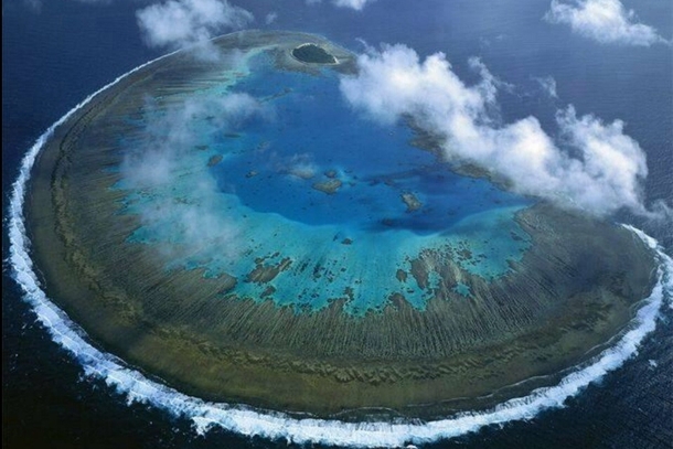 Lady Musgrave Island Great Barrier Reef Australia 