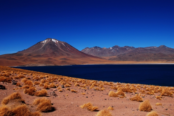 Laguna Miscanti Atacama Chile 