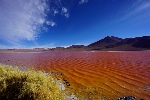 Laguna Rojo Bolivia 