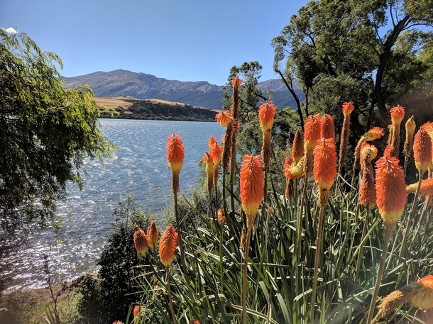 Lake Hayes NZ 
