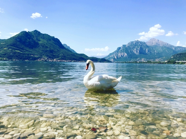 Lake Olginate - Calolziocorte Italy  x
