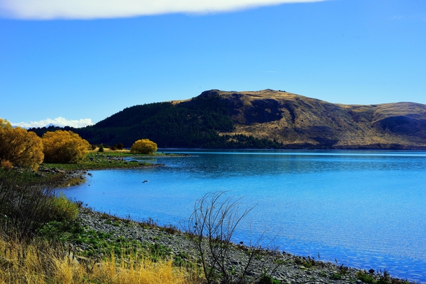 Lake Pukaki New Zealand 