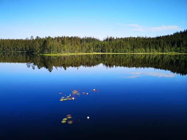 Lake Rbjrn in the forests just north of Oslo Norway 