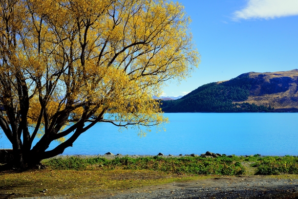 Lake Tekapo in Autumn 