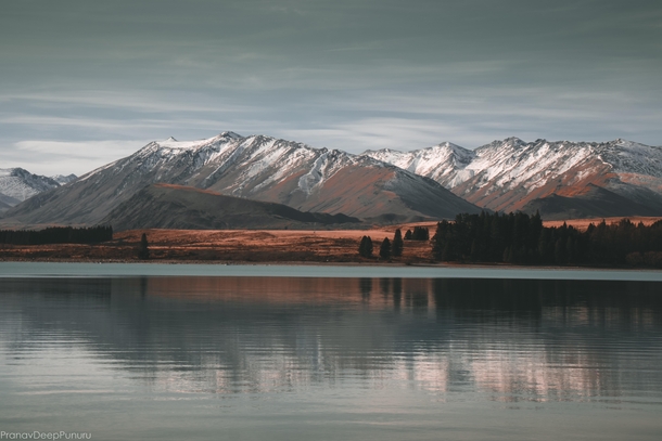Lake Tekapo NZ 