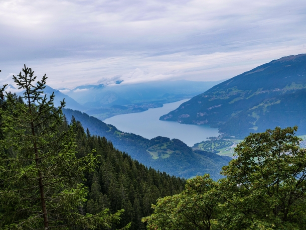 Lake Thun in Interlaken Switzerland 