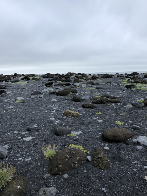 Landscape Leading to Reynisfjara Black Sand Beach Reynisfjara Iceland 