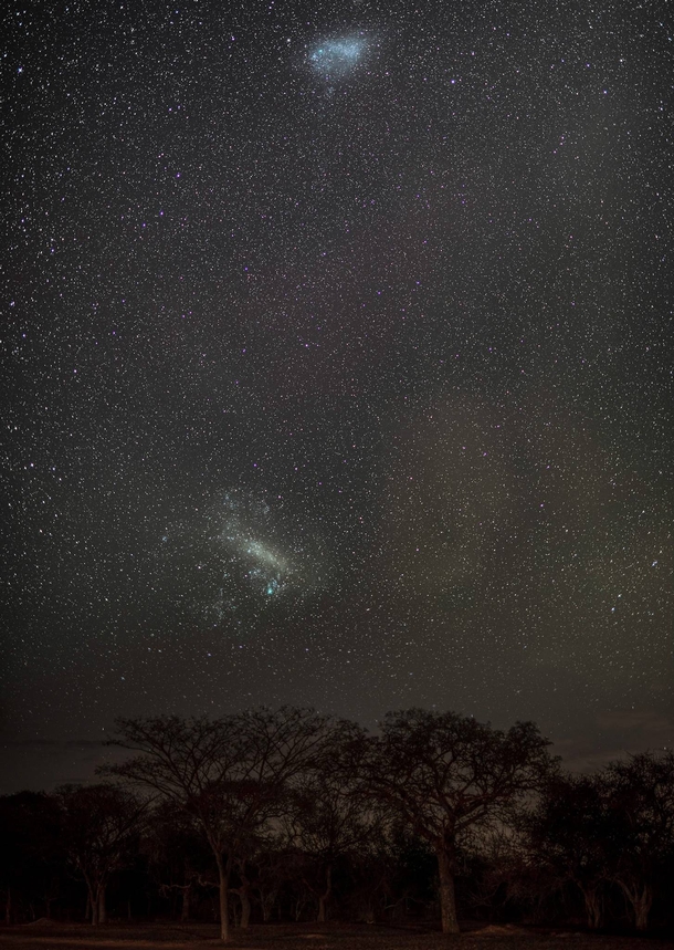 Large and Small Magellanic Clouds over Kruger National Park South Africa 