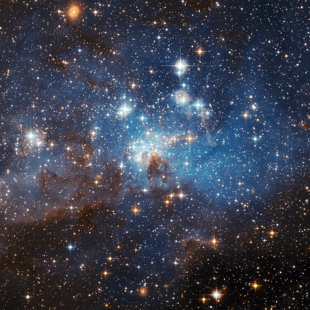 Large and small stars in harmonious coexistence in a star forming region of the Large Magellanic Cloud 