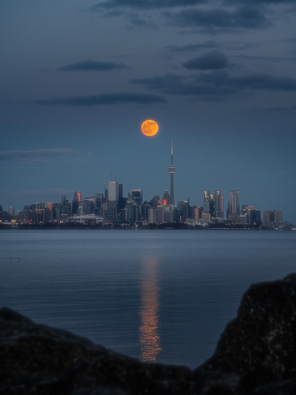 Last Full Moon in  - Toronto