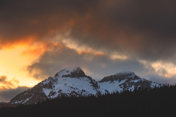 Last light in Mount Rainier National Park 