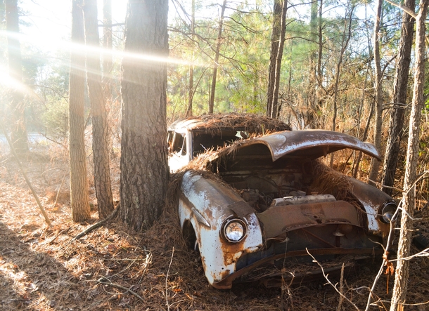 Last Ride of this Abandoned Car  by Andrew Dodson