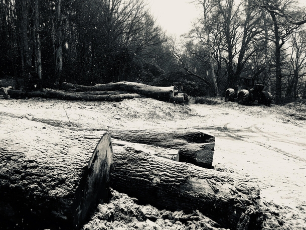 last winter on one of my timber sites in Perthshire Scotland 