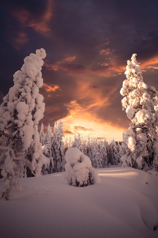 Last winter wasnt the coldest or the snowiest but man it was pretty Taken in northern Finland 