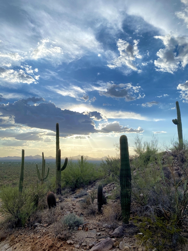 Late afternoon near Tucson Arizona 