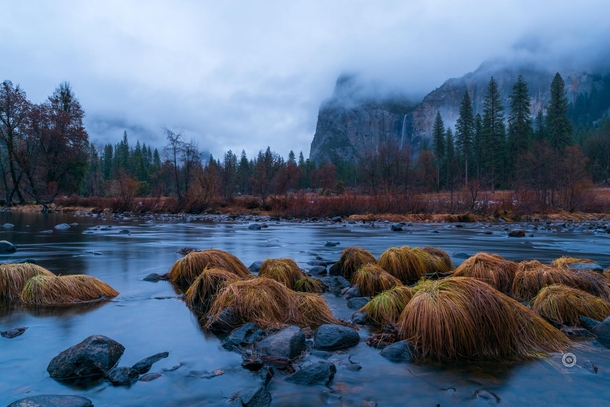 Late evening in Yosemite Valley 