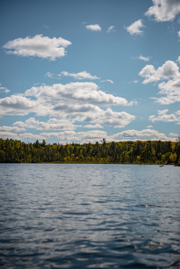 Late Summer in Algonquin Park - Opeongo East Arm    OC