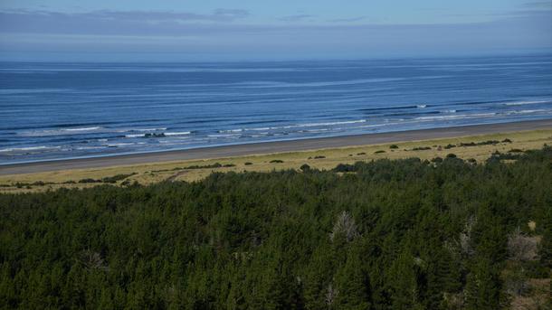 Layers of Coast at Cape Disappointment Washington US  x