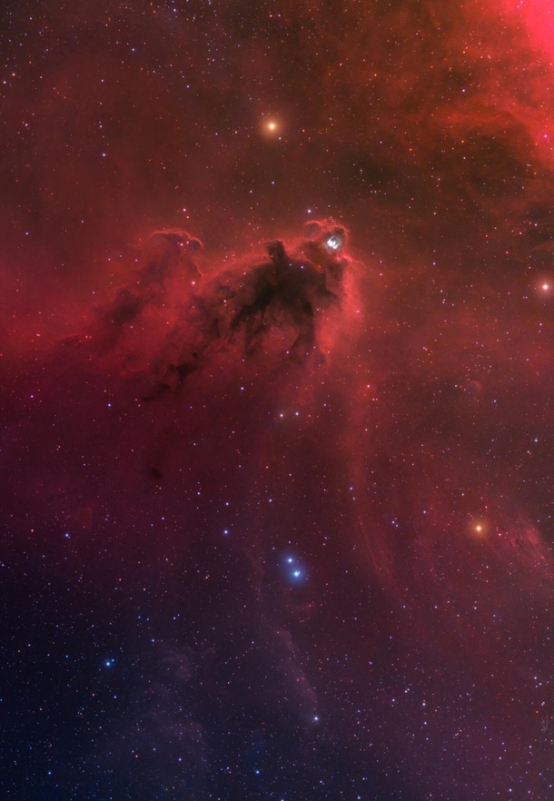 LDN  Dark Nebula in Orion Image Credit Min Xie